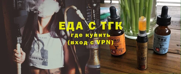 крисы Корсаков
