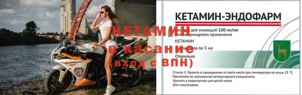 крисы Корсаков