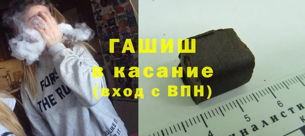 крисы Корсаков