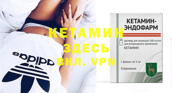крисы Корсаков
