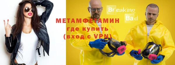крисы Корсаков