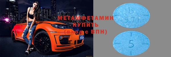 крисы Корсаков
