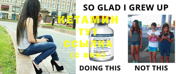 крисы Корсаков