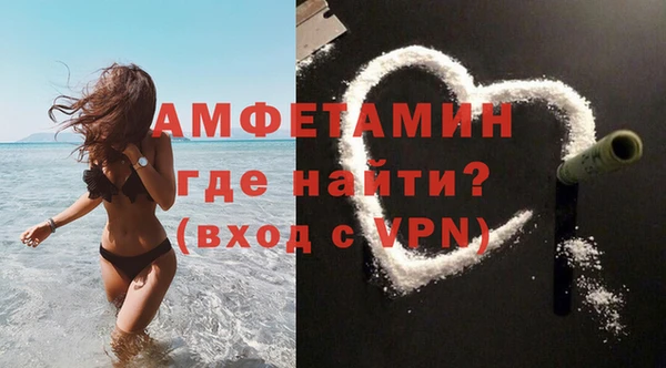 крисы Корсаков