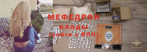 крисы Корсаков