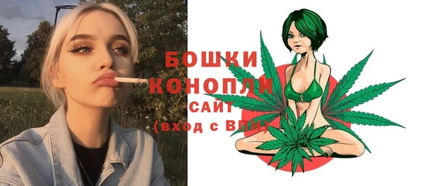 крисы Корсаков