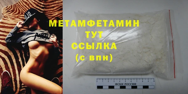 крисы Корсаков